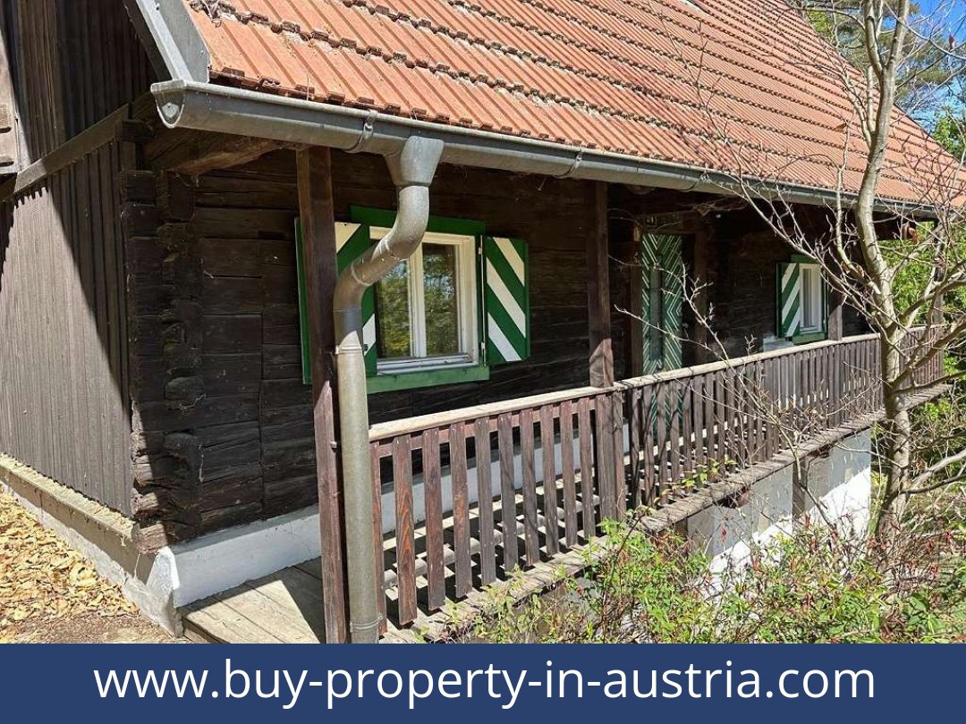 buy-property-in-austria-bad gams-8524-20251010221816-0032401019.jpg
